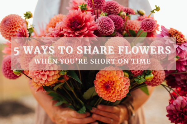 Ways to donate flowers in your community — Growing Kindness Project