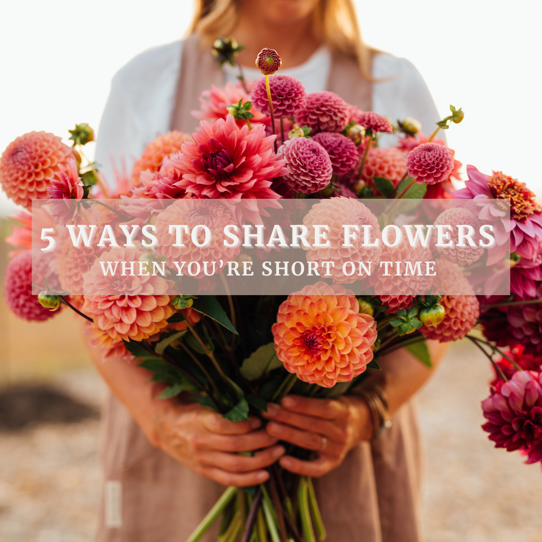 Ways to donate flowers in your community — Growing Kindness Project
