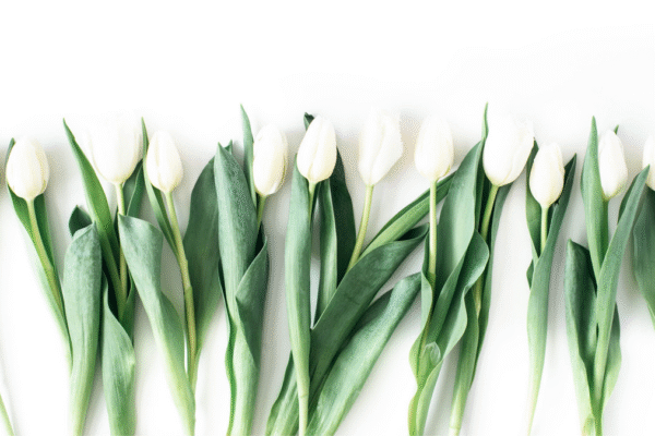 Six Tips for Avoiding Parental Burnout
– My Self-Love Supply