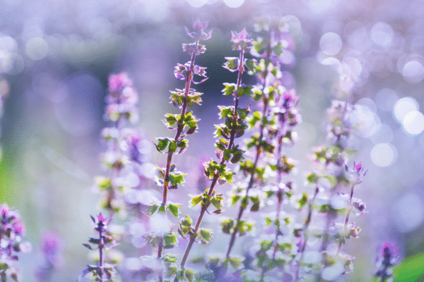 What it is, How it’s Shaped and How We Can – My Self-Love Supply