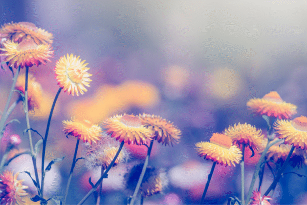 How to Journal Your Way to Self-Love
– My Self-Love Supply