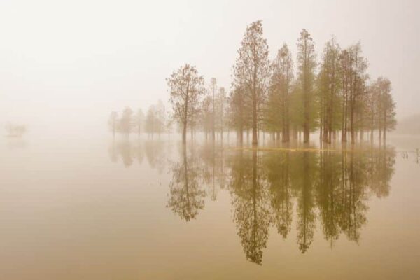 60 Silence Quotes: Inspirational Quotes on Silence