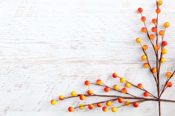 It’s Time to Redefine Self-Care for the Sake of Our Mamas
– My Self-Love Supply