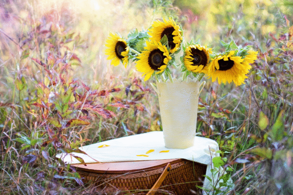 Exploring our Internal World
– My Self-Love Supply
