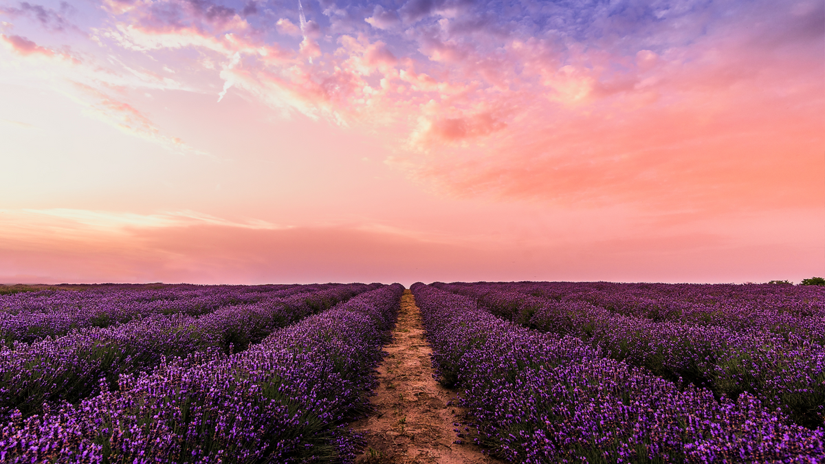 How Unhelpful Perfectionism can Stand in the way of Self Love
– My Self-Love Supply