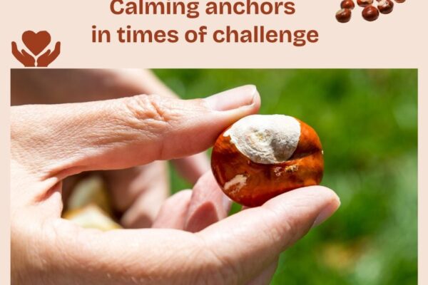 Calming Anchors in Times of Challenge – BodyIntelligence