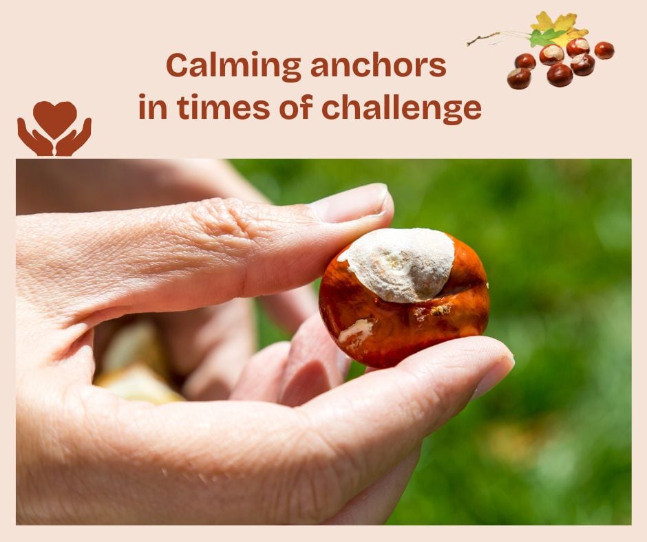 Calming Anchors in Times of Challenge – BodyIntelligence