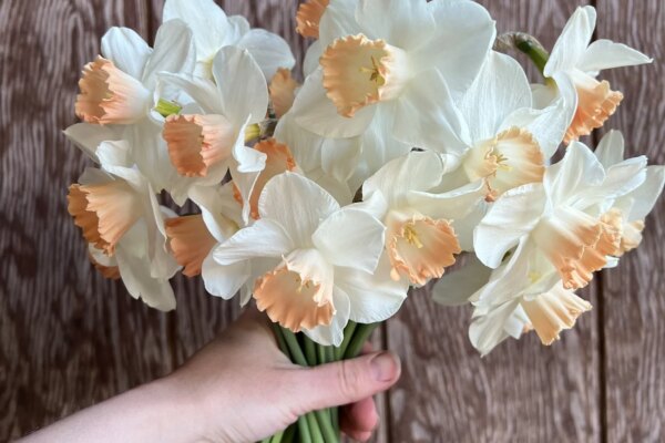 Creating Beautiful Bouquets with What’s Around You — Growing Kindness Project