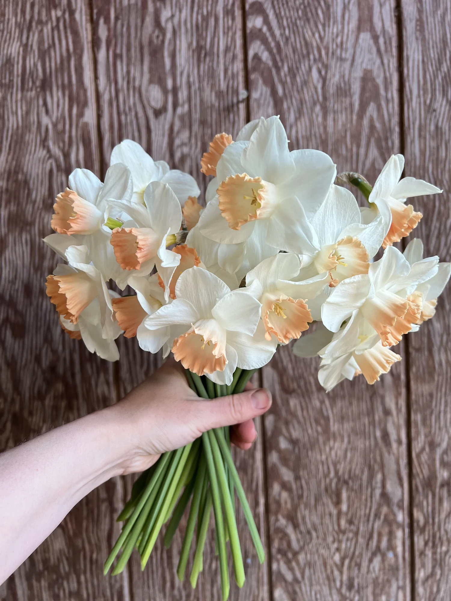 Creating Beautiful Bouquets with What’s Around You — Growing Kindness Project