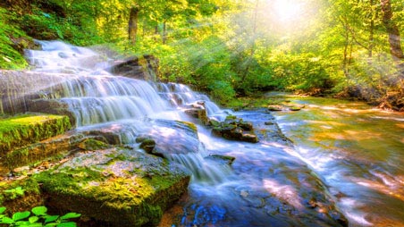 Mindfulness Breathing Exercises – Mindfulness Exercises