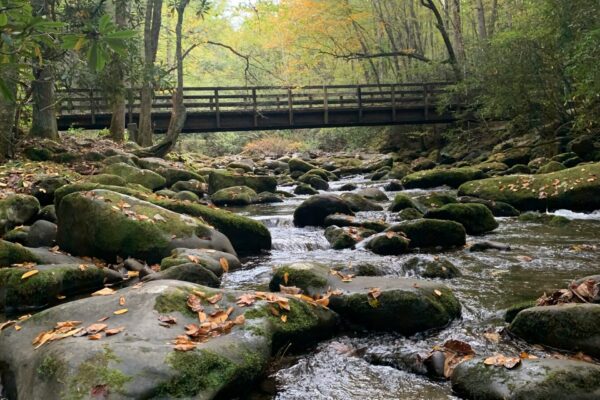 The A.R.C. Toward Living and Performing More Freely