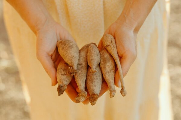 Growing Kindness and Gardens Across the US — Growing Kindness Project